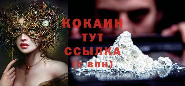 скорость Шали